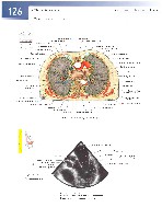 Sobotta  Atlas of Human Anatomy  Trunk, Viscera,Lower Limb Volume2 2006, page 133